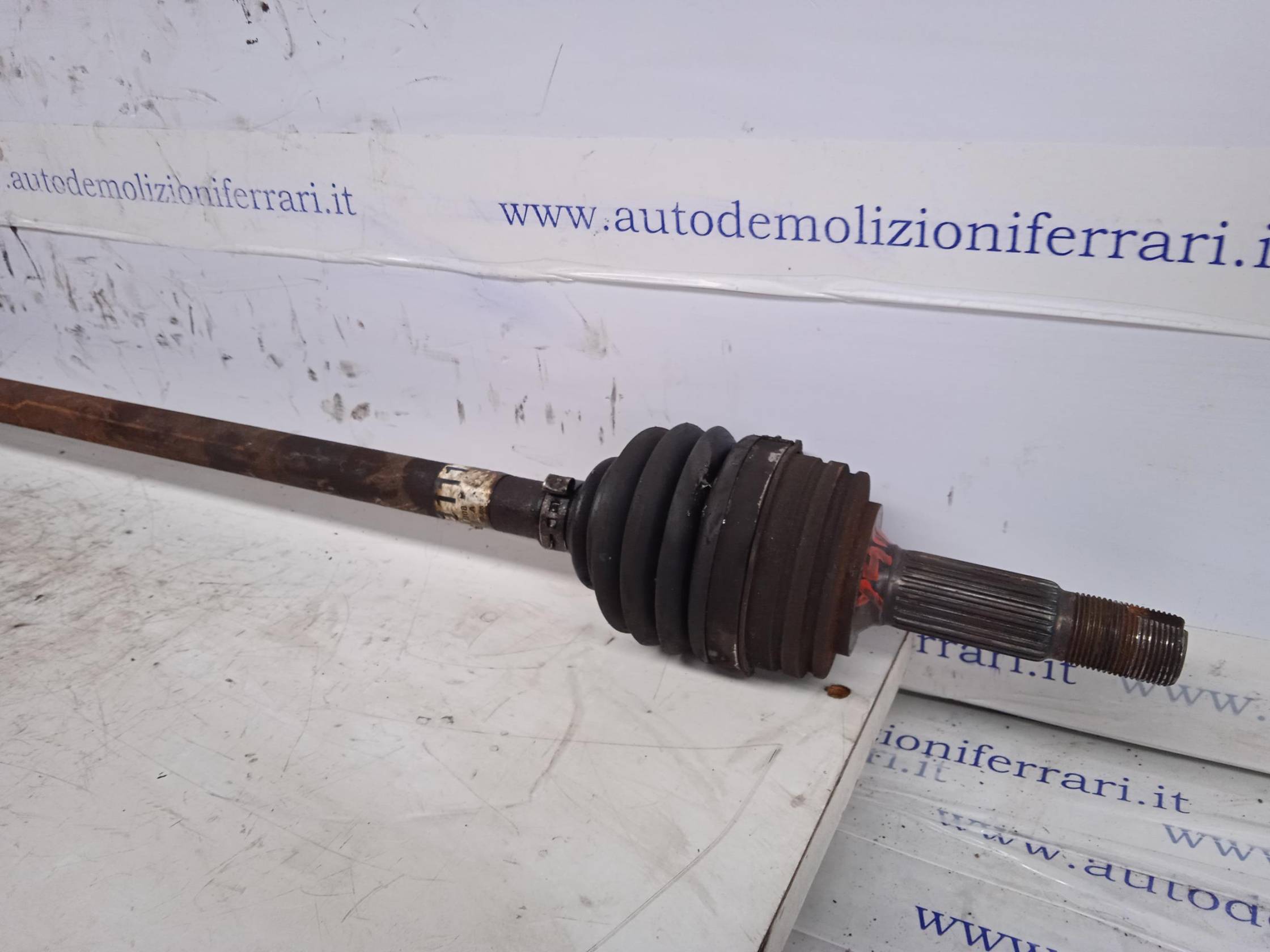 Semialbero ant. compl. dx.